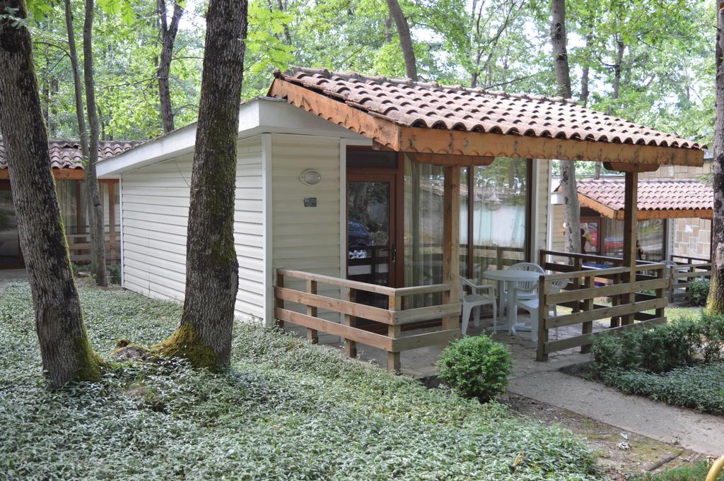 Villas Holidays Primorsko Zimmer foto